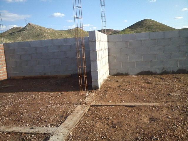 CAM00817