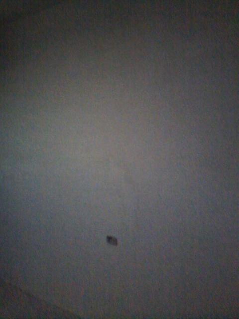 CAM01344