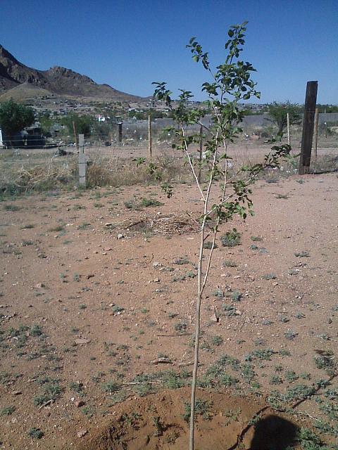 CAM02090