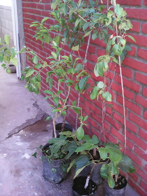 IMG 20160605 151401