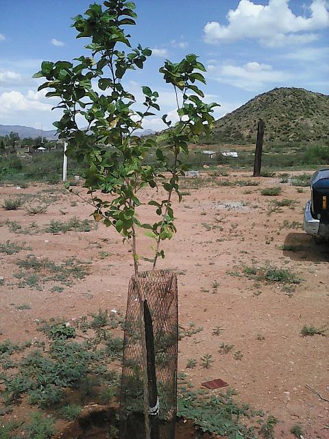 IMG 20160719 151633