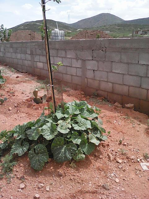 IMG 20160719 151716