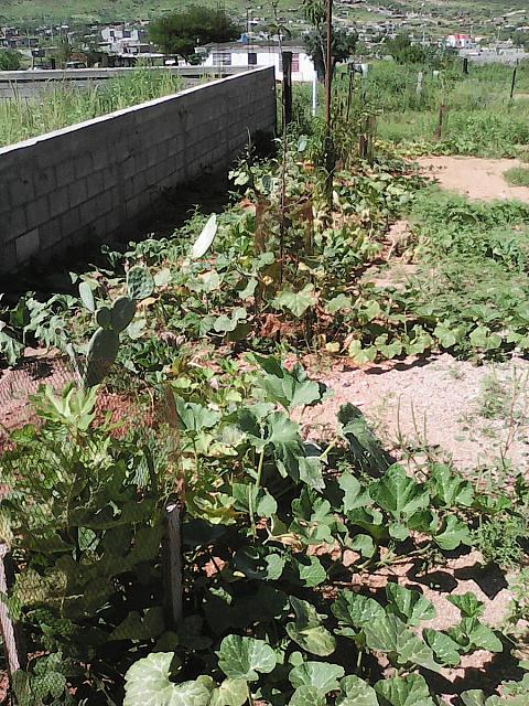 IMG 20160905 151204