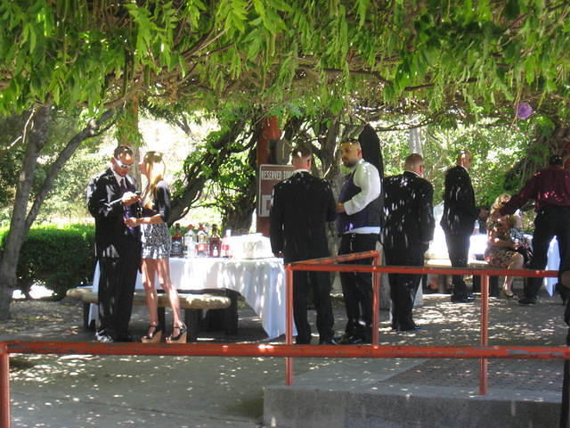 IMG 3351