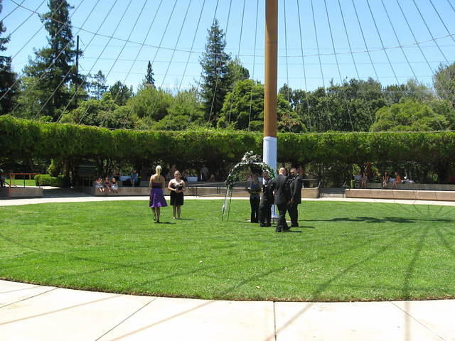 IMG 3420