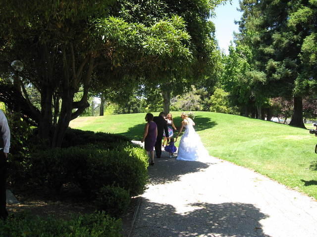 IMG 3482