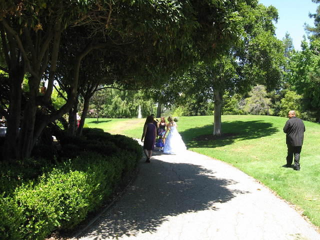 IMG 3483