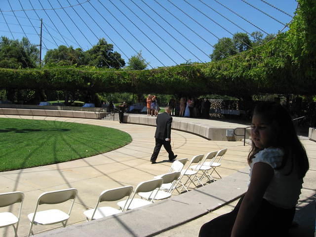 IMG 3533