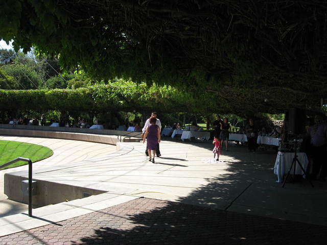 IMG 3535