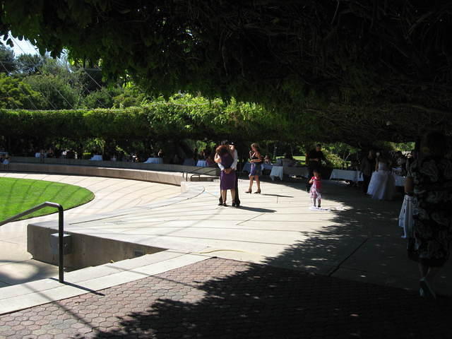 IMG 3536