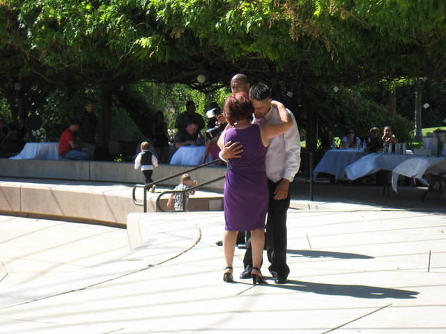 IMG 3541