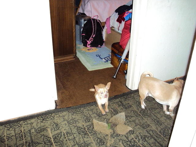 DSC00359