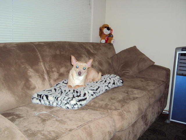 DSC00364