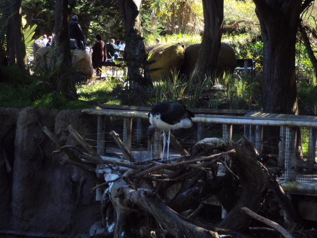 DSC00376