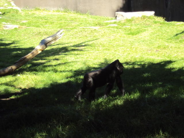 DSC00388