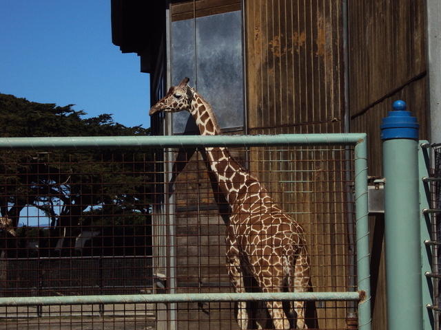 DSC00396