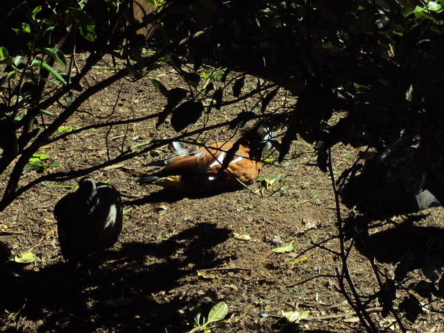 DSC00401