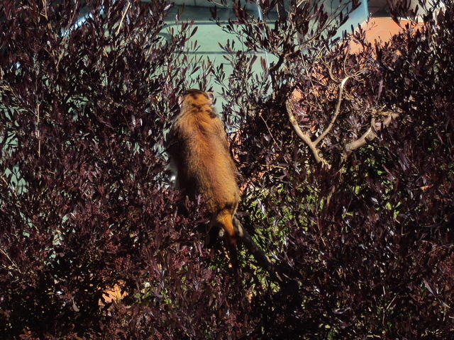 DSC00410