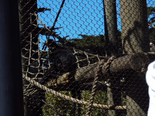 DSC00414