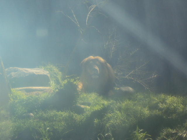 DSC00444