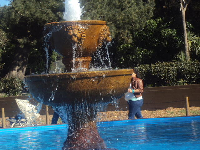 DSC00460
