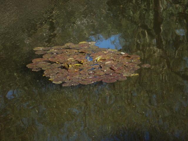 DSC00471