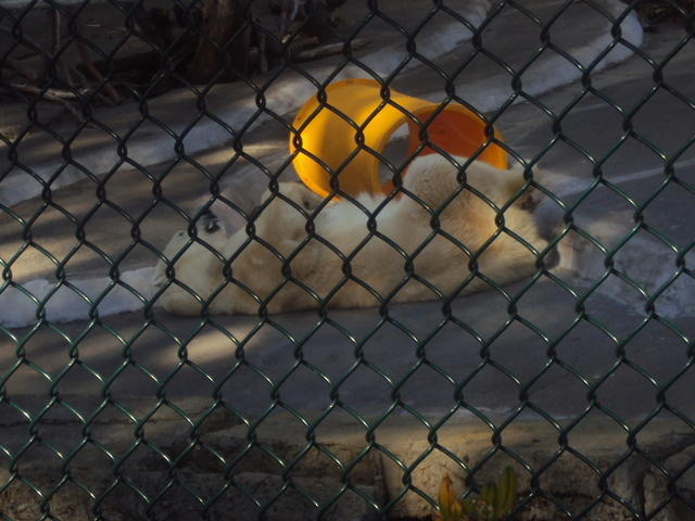 DSC00480