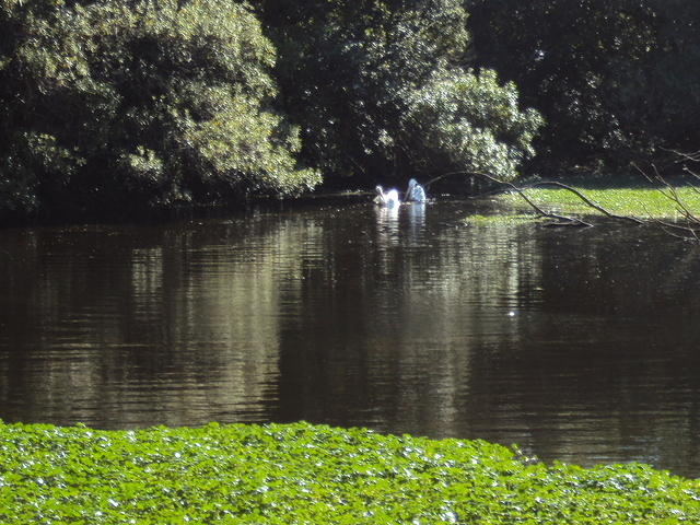 DSC00485