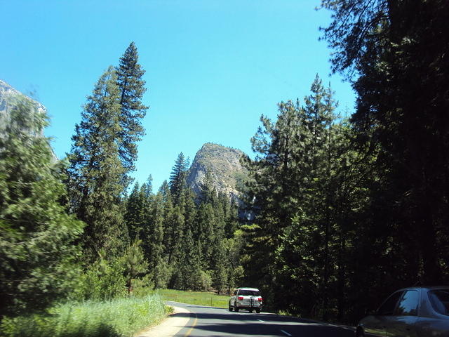 DSC00541