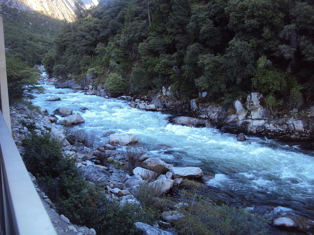 DSC00553
