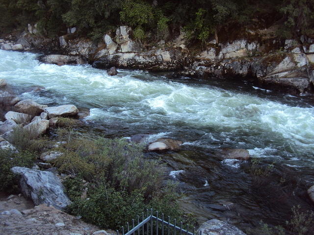 DSC00554