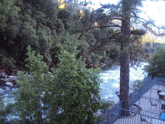 DSC00555