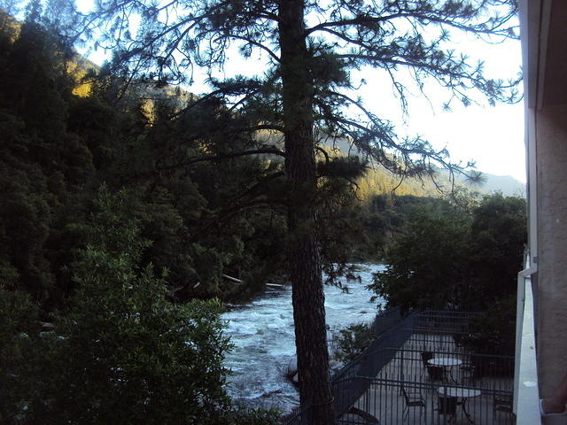 DSC00556