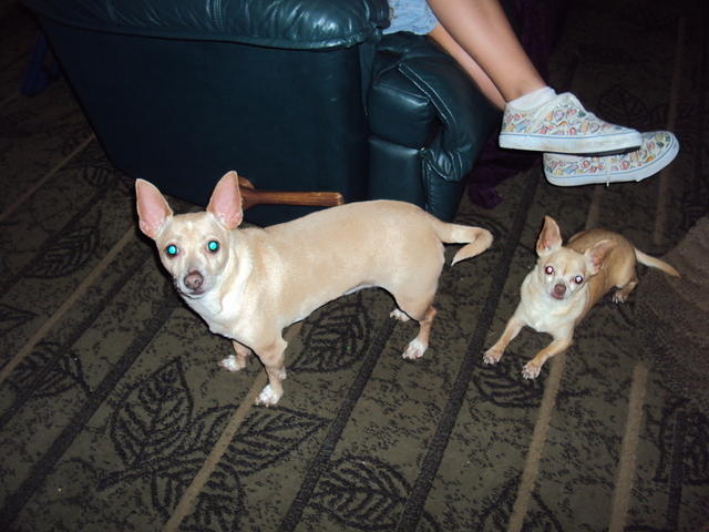DSC00588