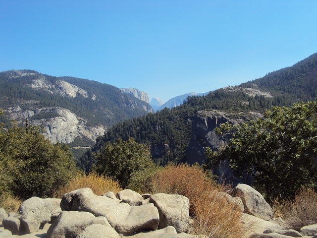 DSC00591