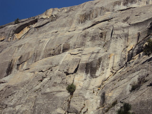 DSC00602