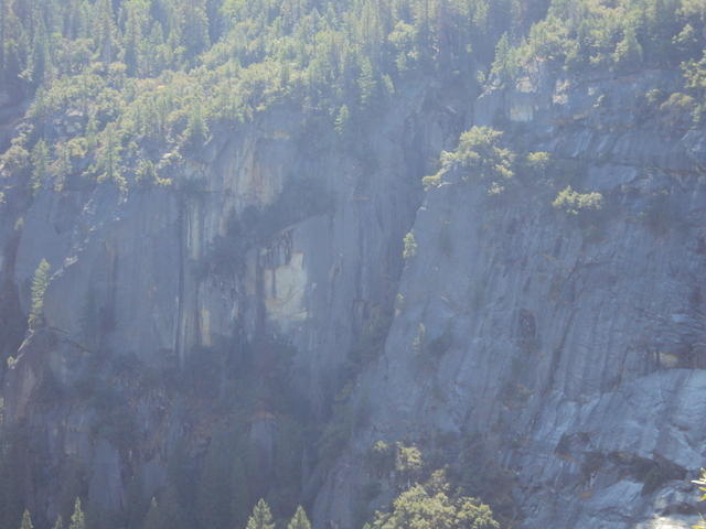 DSC00603