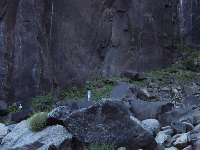 DSC00631
