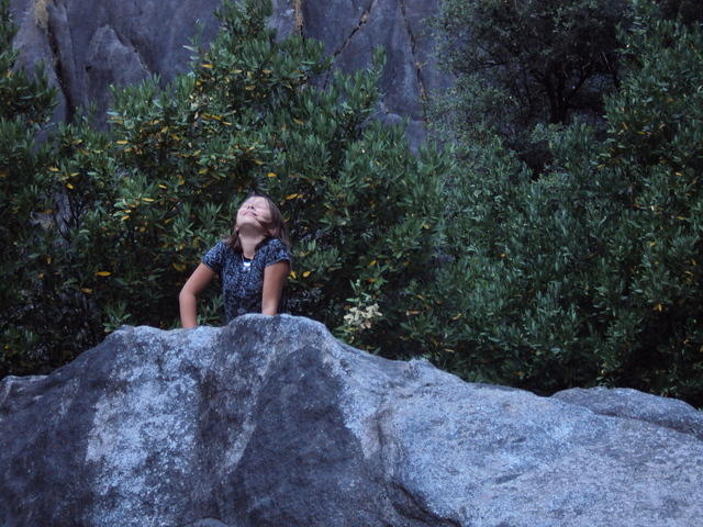 DSC00634