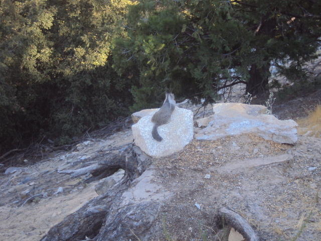 DSC00690