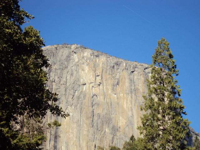 DSC00703