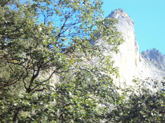 DSC00708