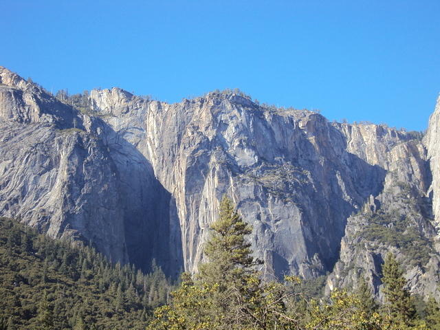 DSC00709