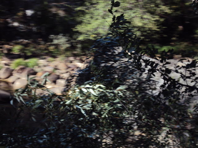 DSC00713