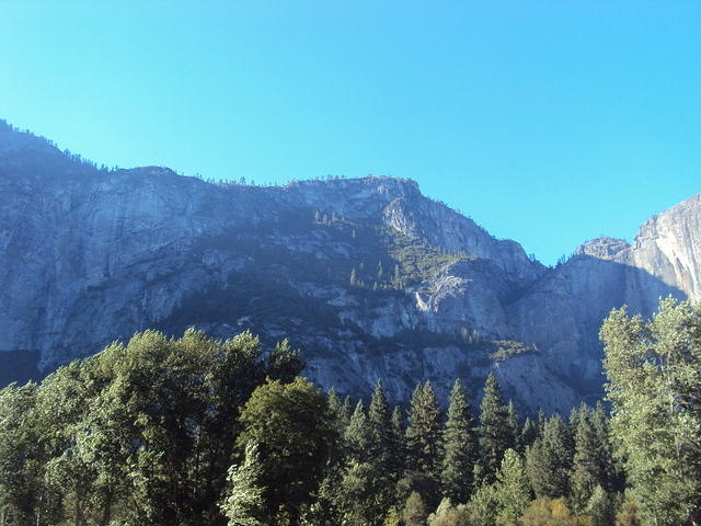 DSC00720