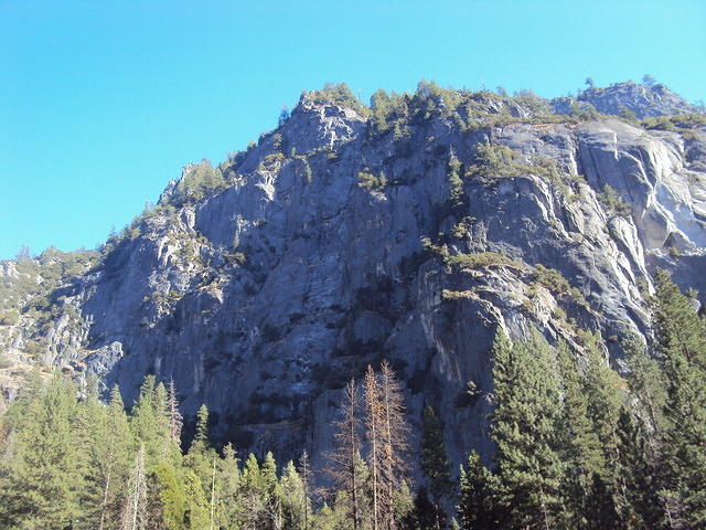 DSC00725