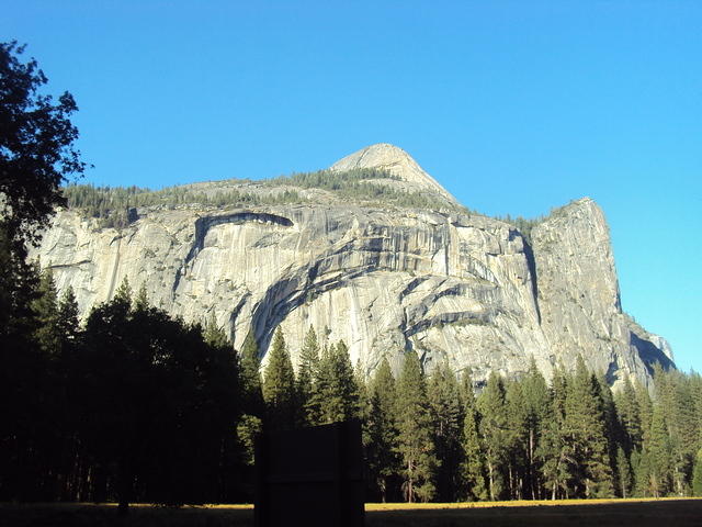 DSC00732