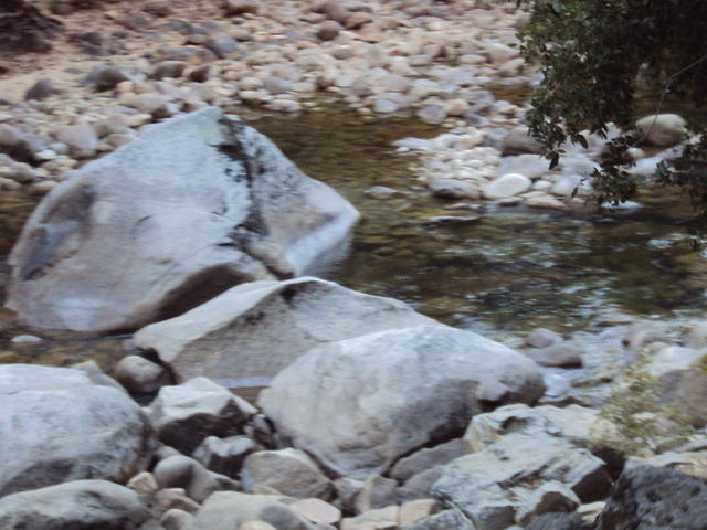 DSC00745