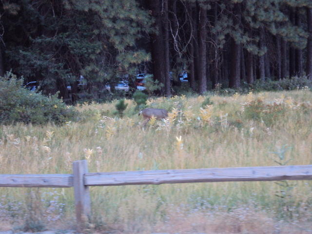 DSC00750