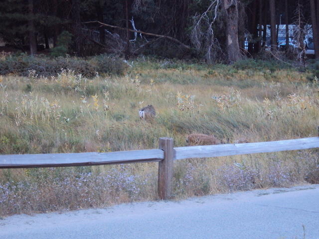 DSC00751